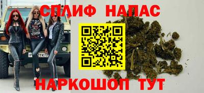 меф Гатчина